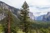 Yosemite National Park